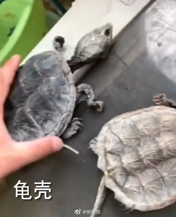 红薯|鸟窝、辣椒、红薯藤..好久不见的宿舍 ,推开门后惊呆了!