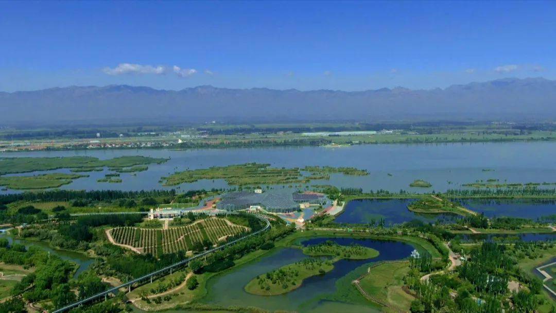 银川秋韵,每一帧都是风景!