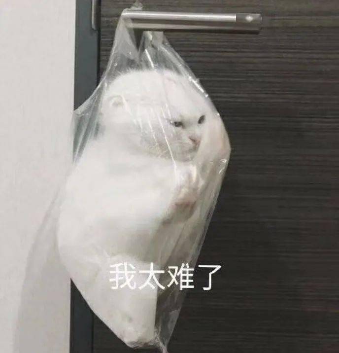 怕是尴尬到脚趾抓地了.