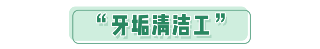 好闻|可以嚼的“漱口水”！好看好嚼好闻，口吐清新…