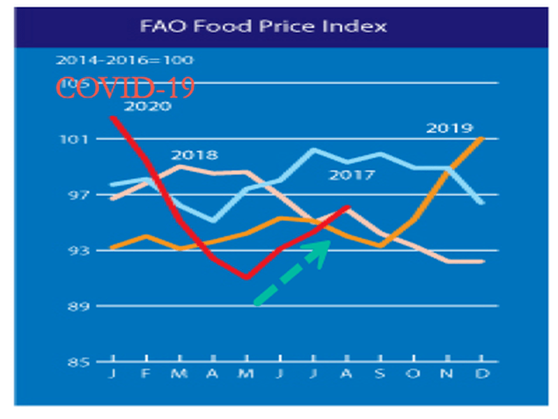 公安gdp2020_2019年全国各省GDP经济总量排名 GDP过万亿省份名单(2)