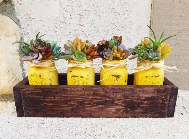 多肉小花盆高颜值 f44840698836498cb264e53cb9d58e2f.jpeg