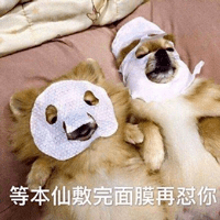 皮筋|小红书，求求你别再骗人了！