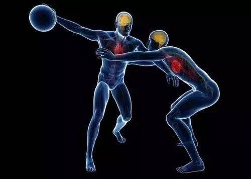 运动|你信吗？一项脑科学研究：把时间“浪费”在运动上，学生成绩反而会提高