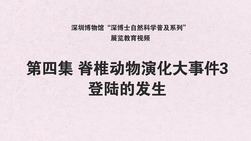 f4cc5cad90a142e9bb2cbe65be5b4108.png