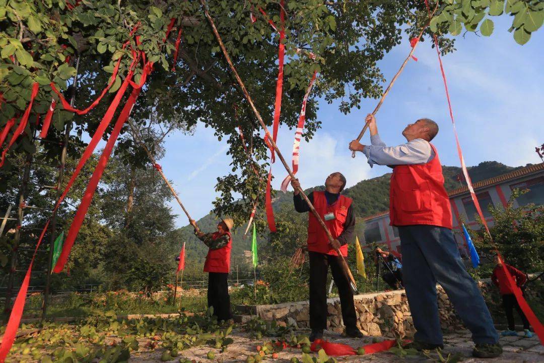 时节|露从今夜白
