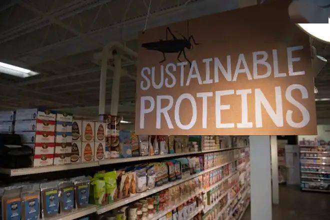 昆虫|去掉头嘎嘣脆的昆虫，会成为下一个“植物肉”吗？