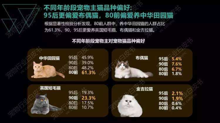 vlog什么类型更受欢迎 e0799ece0c3d449d8838eb955020a92c.jpeg