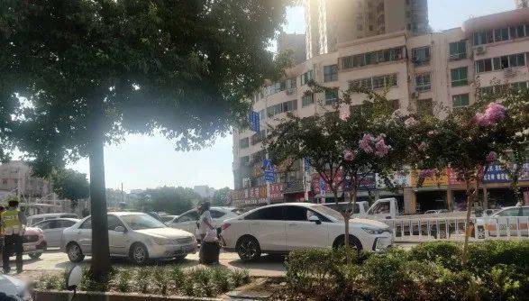 南阳市城区人口2021_南阳市城区地图(3)