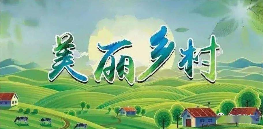 黎明农场8月份人居环境整治成效"红黑榜"_手机搜狐网