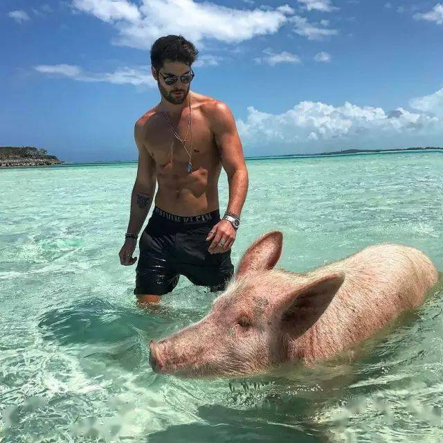 Nick|BVLGARI 推出新款香氛，代言人是他，我可以！