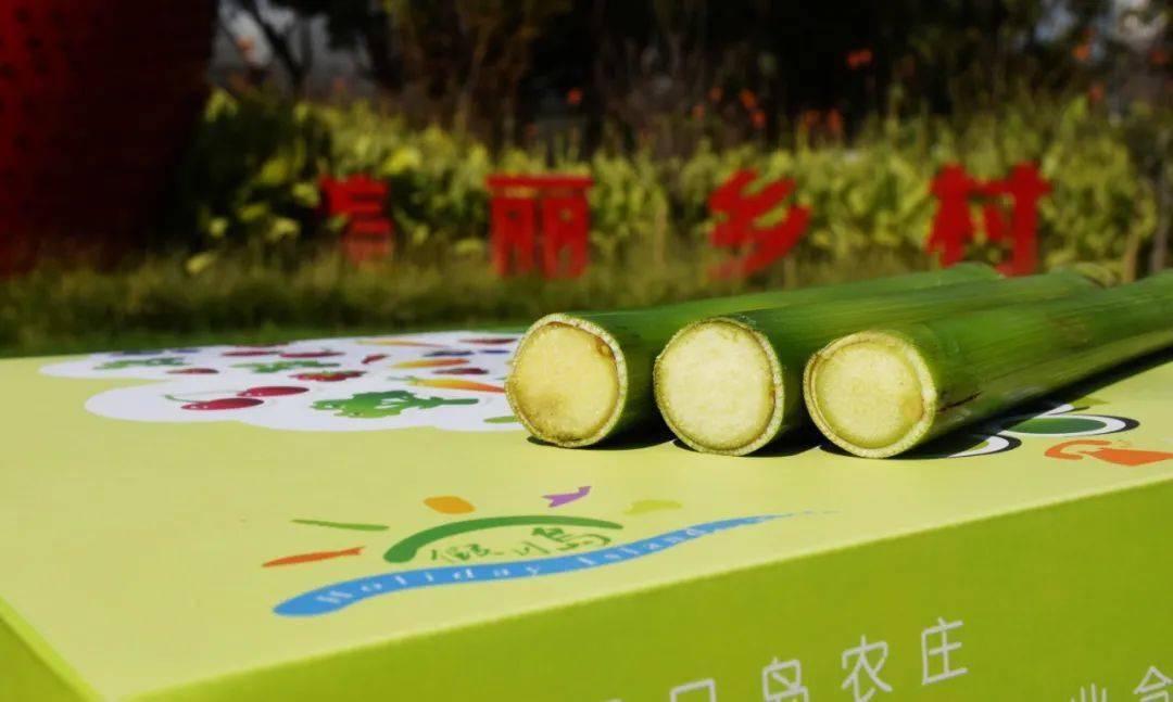 崇明|有一样自然赐予的好物超好吃~崇明这个农庄