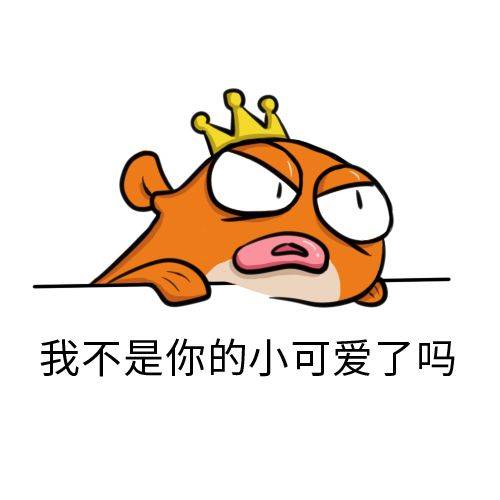 小店|抖音小店最新政策解读丨谁在拥抱，谁在抗拒？