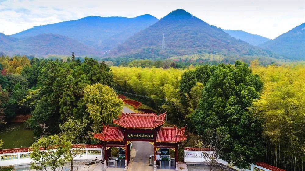 芜湖枕水官巷景区