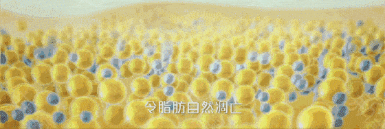 腿部|吴昕录制《乘风破浪的姐姐》都在用它,难怪万年小粗腿翻身成腿精!小腿细得像打了瘦腿针!