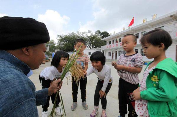 杨朝俊|杨朝俊：36载坚守大山育桃李