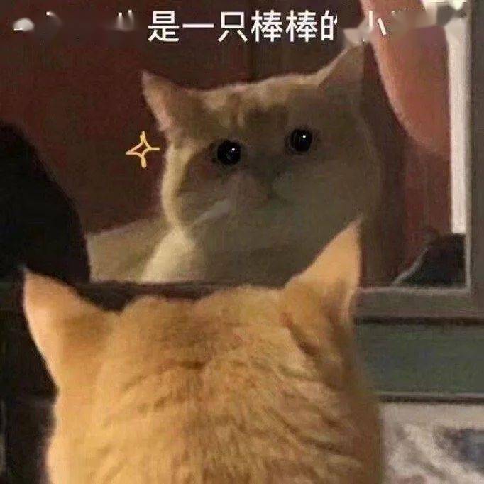 婆婆|皮肤干燥脱皮还起屑？是缺水还是皮肤病