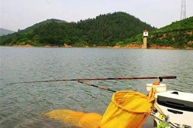 鲤鱼|我就喜欢用这鲤鱼钓法一到初秋