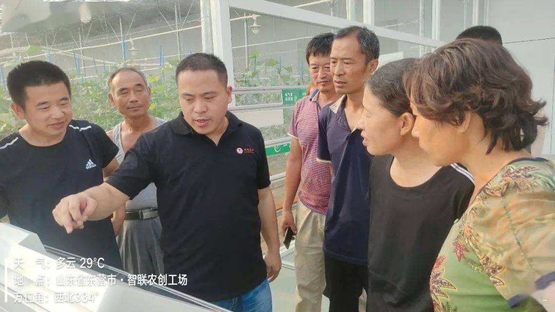 有钢琴和曲谱的软件