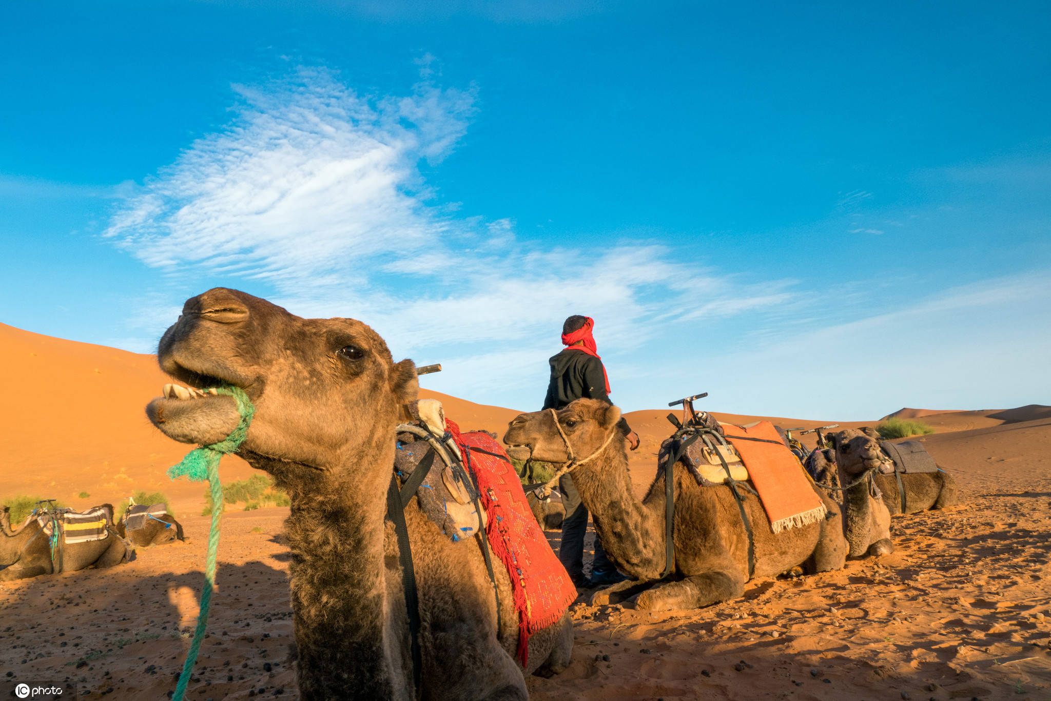梅尔祖卡豪华沙漠露营地预订及价格查询,Merzouga Luxury Desert Camp_八大洲旅游
