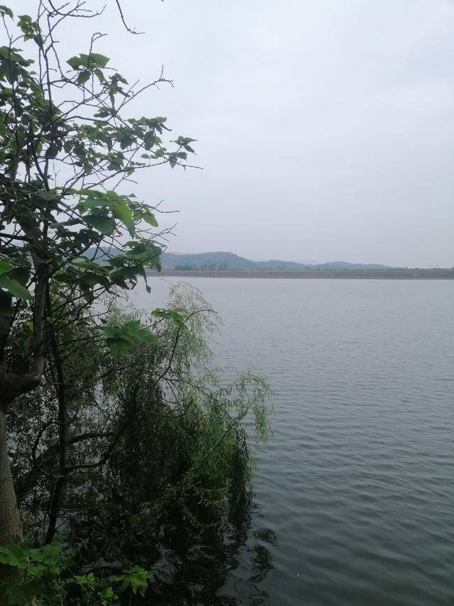 垂钓三岔湖水库,开杆就中大鱼,雪洗上次空军之耻