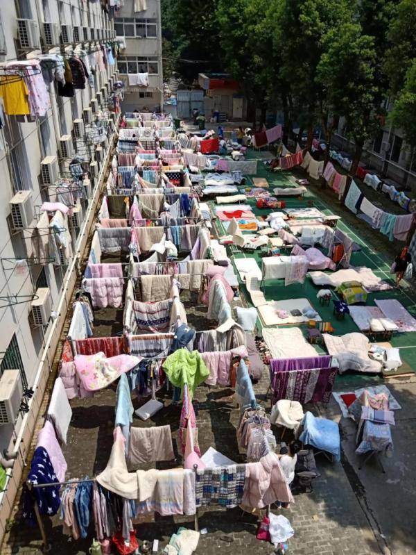 被子|噢！晒完被子一股阳光的味道扑面而来！你确信是这个味儿？