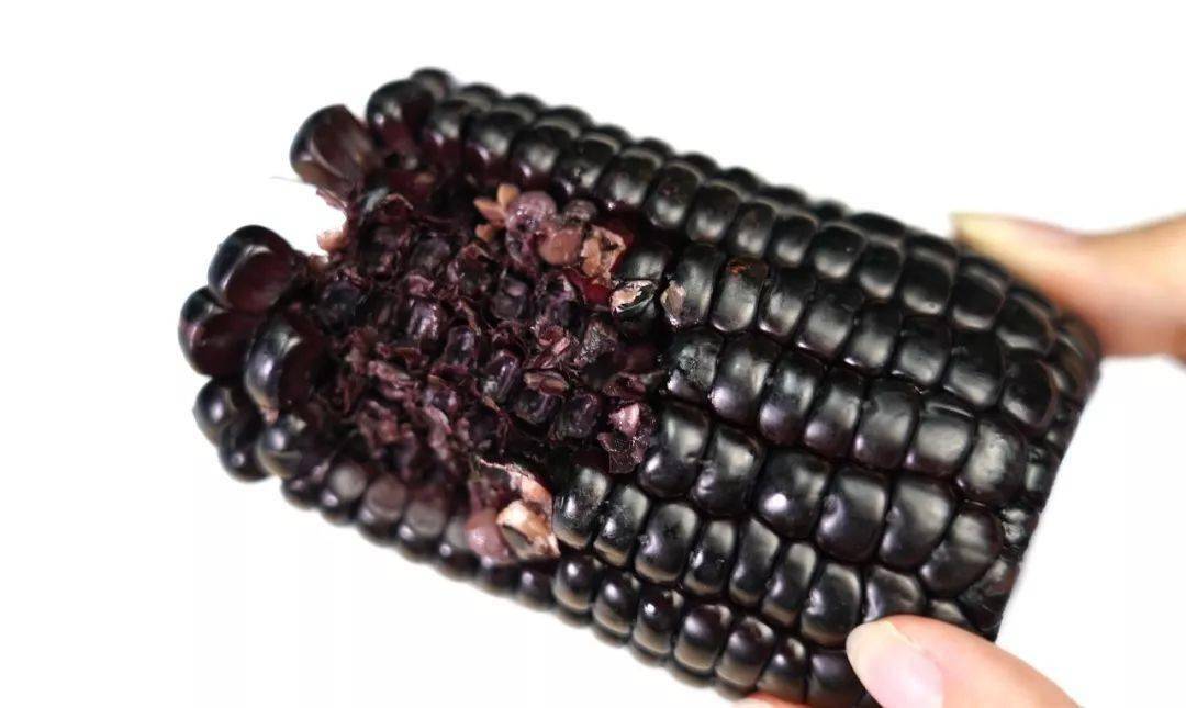 忻州|还有酸甜可口的山楂棒棒糖!超值39.9元丨老少孕妇都爱吃的忻州黑玉米返团