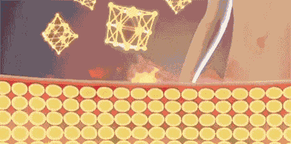 意大利|吴昕：你不瘦下来，永远不知道自己有多美！