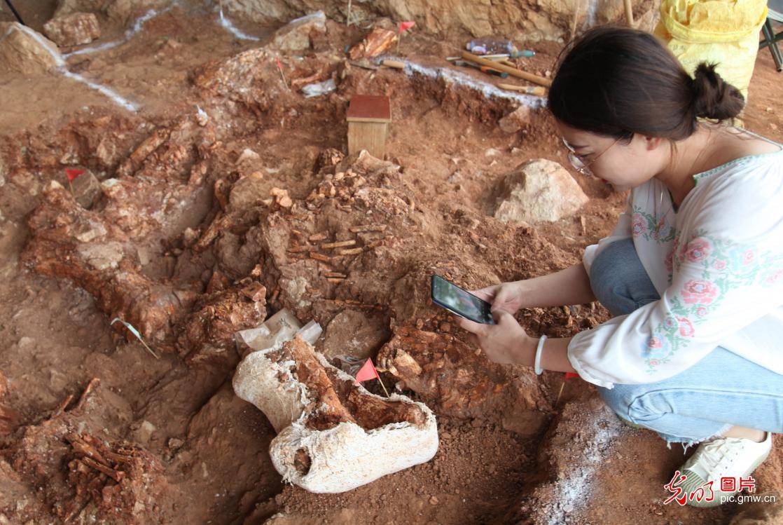 遗址|人字洞遗址第一轮考古发掘“好戏连台”