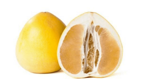 柠檬是在树上长大的英语怎么说