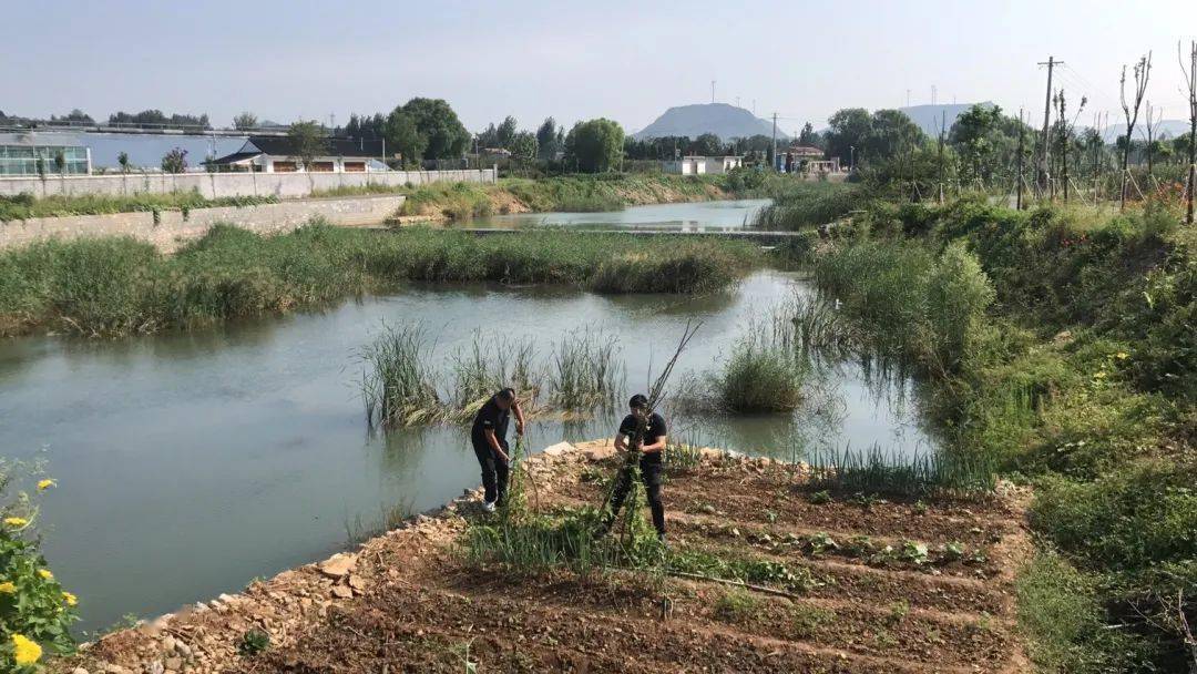 大众日报点赞西集镇人大代表积极履职担当龙河治理成休闲胜地