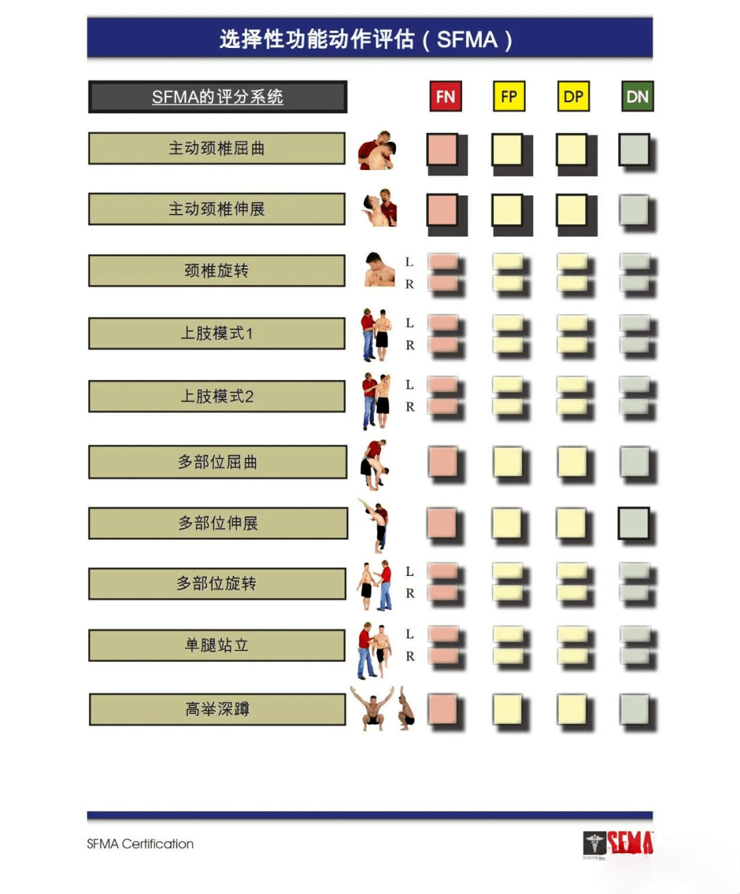 sfma筛查动作评估 流程图在整个流程图中,可能大家也观察到了颜色的