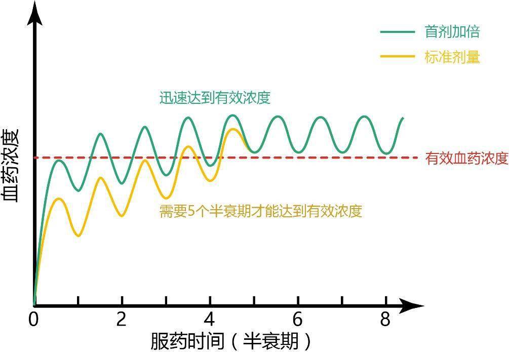 别用错了这些药物首次用时剂量不一样