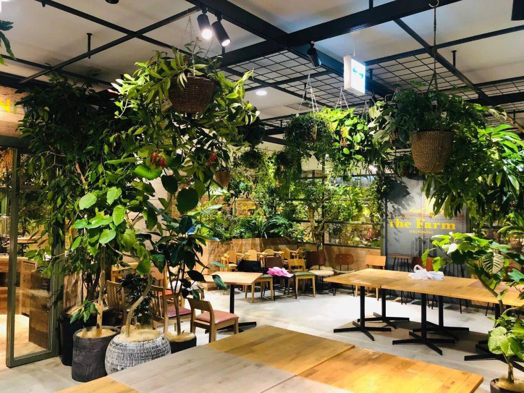 日本TOD的全新社区运营模式南町田Grandberry Park搜狐大视野搜狐新闻