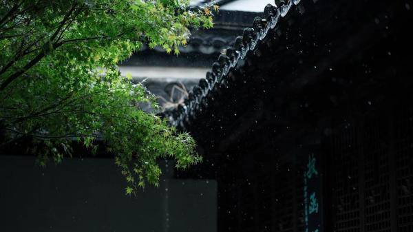 阴天|这个雨要下到哪天？下周先雨后晴……