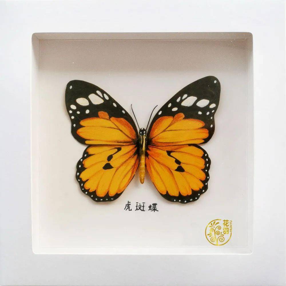 手绘手工,制作小礼物——仿真蝴蝶标本