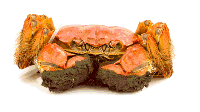 a82b2ae05b51439891310c0aeab1a7fb.png