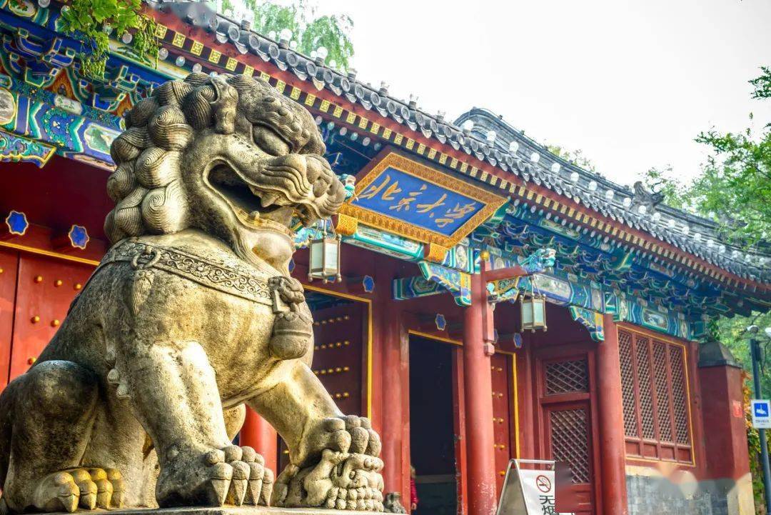 数学|没有一名新生经历高三北大数学英才班