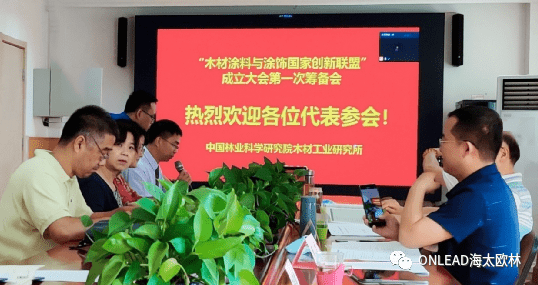 
海太欧林团体高级副总裁姚若灵到场木料涂料与涂饰国家创新同盟建立大会第一次筹备会