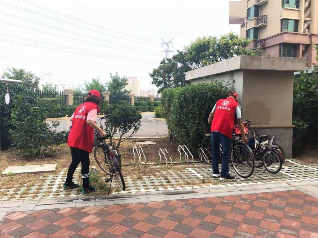 新河街道开展爱国卫生运动学雷锋志愿服务活动_社区