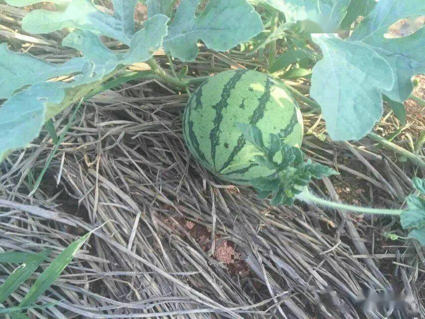 秋季|现在知道刚刚好!多事之秋百病生:这3不吃4不做5相伴