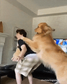 280_350 竖版 竖屏