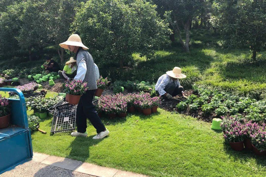 环保梦的园艺师们收集的废弃物,正