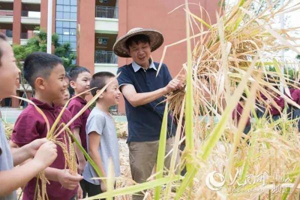 活动|培养节粮爱粮好习惯，各地中小学有这些妙招儿