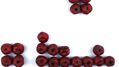 4ae3bbd2681e4ebea1cef4748cfe2f90.gif