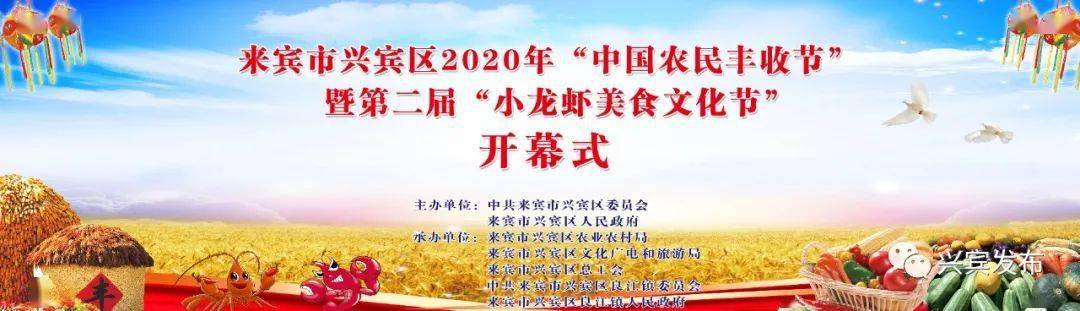 今年  兴宾区"2020年中国农民丰收节