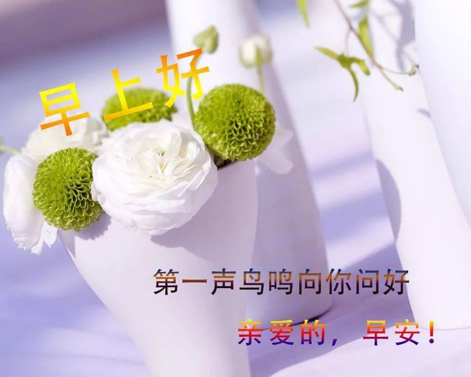亲们早上好最新图片早晨问候语及关心话 慰问家人朋友早上好图片大全