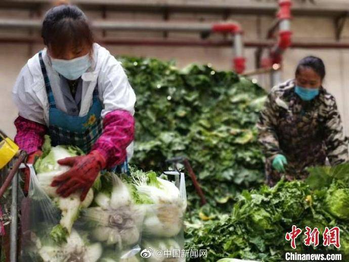 回应|发改委回应菜价大幅上涨：市场供应有望在较短时间内恢复