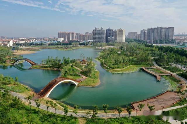 2020年焦作市县经济发展总量_焦作市农村送经济树(2)