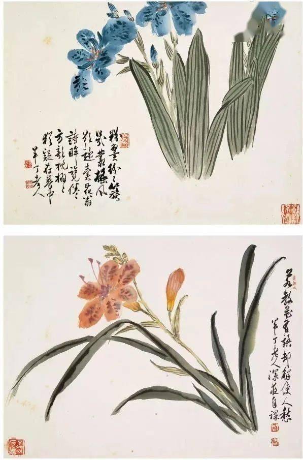 陳半丁  花卉圖 咫尺之间花草精神：陈半丁花卉册页赏析_风格